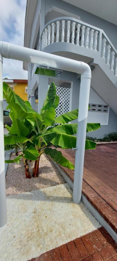 Villa Raven`s Paradise  Willemstad Esterno foto