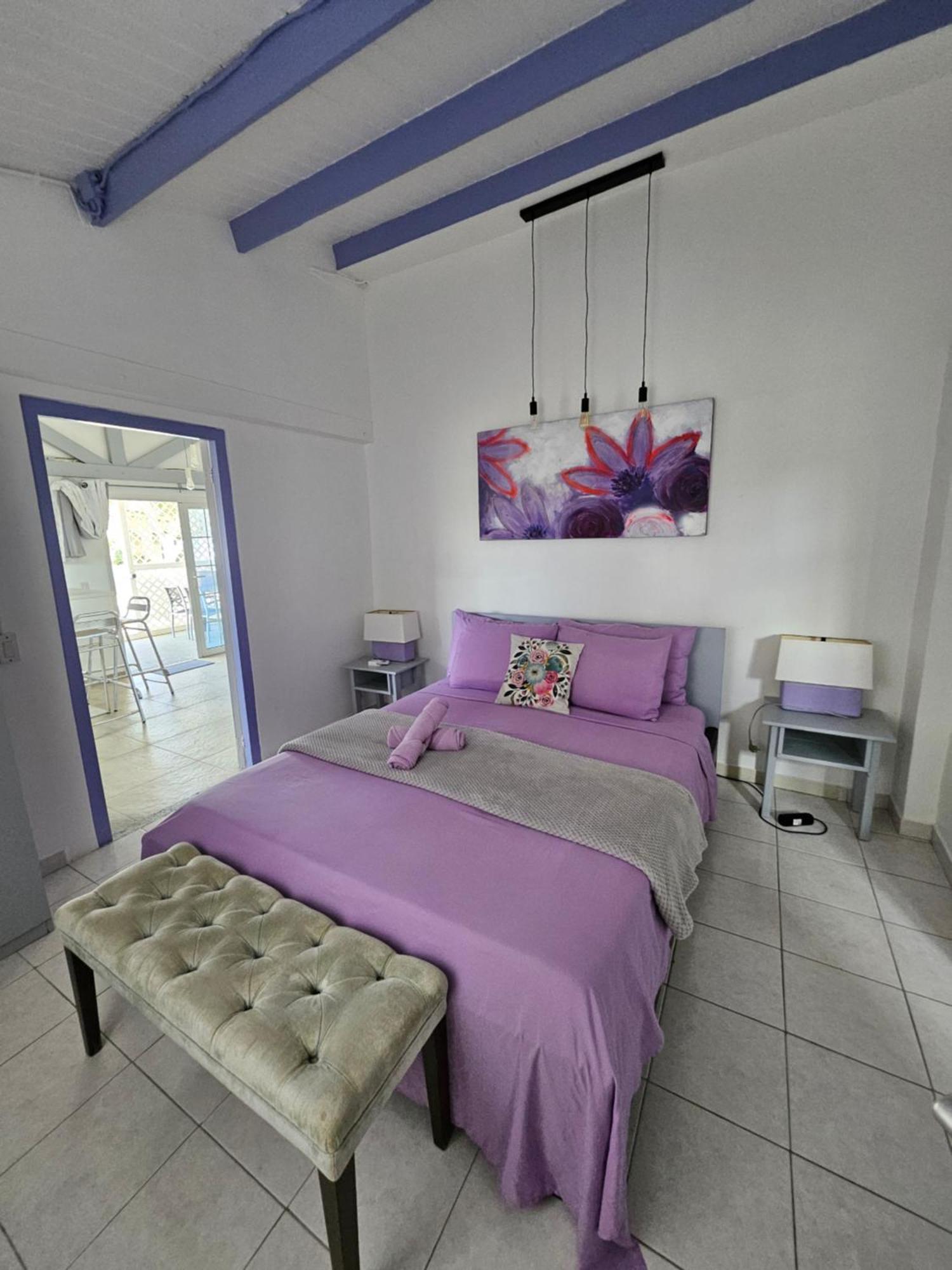 Villa Raven`s Paradise  Willemstad Esterno foto